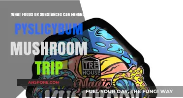 Enhance Your Psilocybe Mushroom Journey: Foods and Substances to Explore