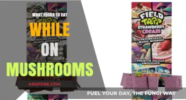 Enhance Your Mushroom Trip: Best Foods to Pair for a Magical Experience