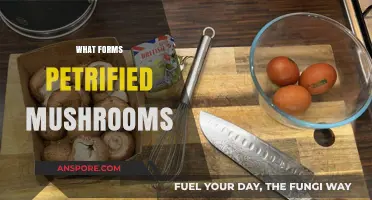 How Do Petrified Mushrooms Form?