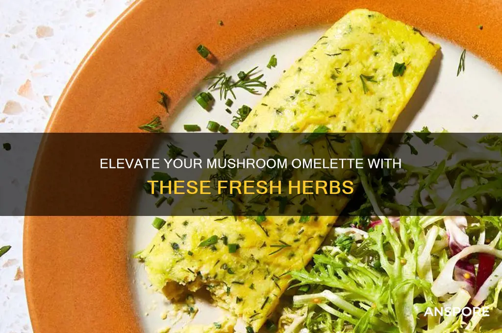 what fresh herbs can i add to my mushroom omlette