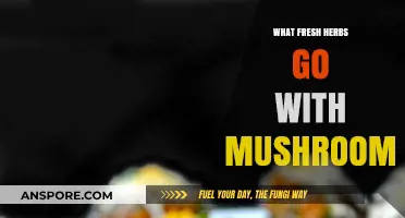 Enhance Your Mushroom Dishes: Top Fresh Herbs for Flavorful Pairings