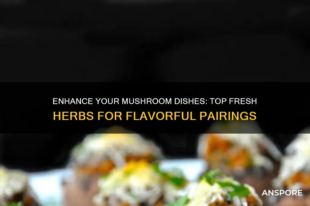 what fresh herbs go with mushrooms