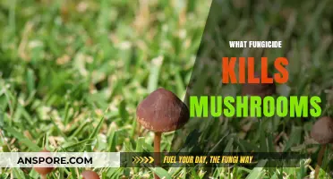 Fungicide Effectiveness: Killing Mushrooms