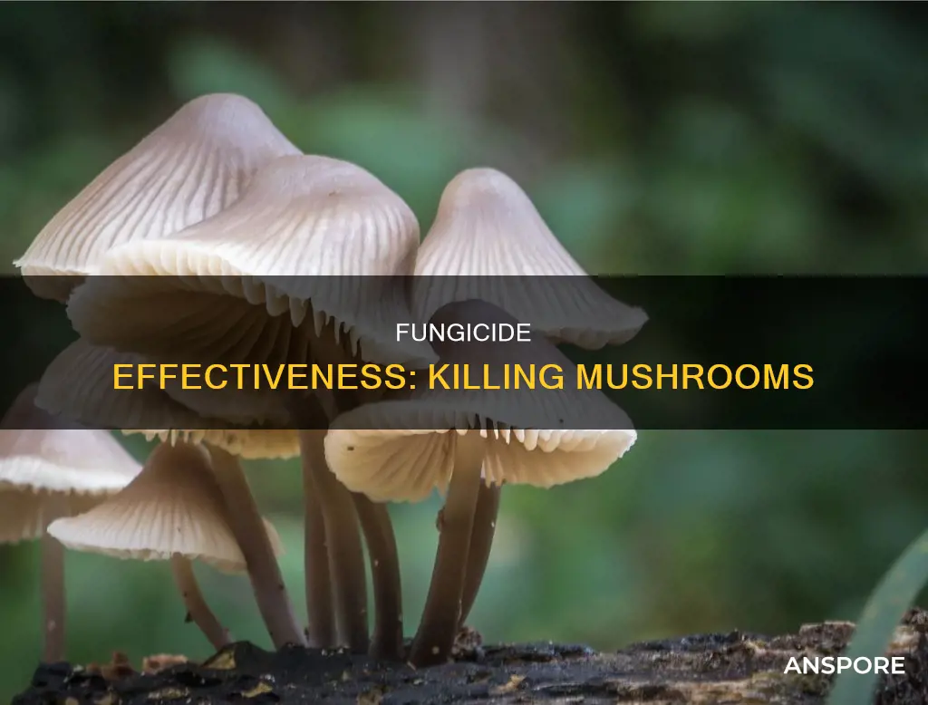 what fungicide kills mushrooms