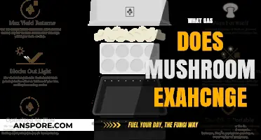 Mushroom Power: The Gas Exchange Story