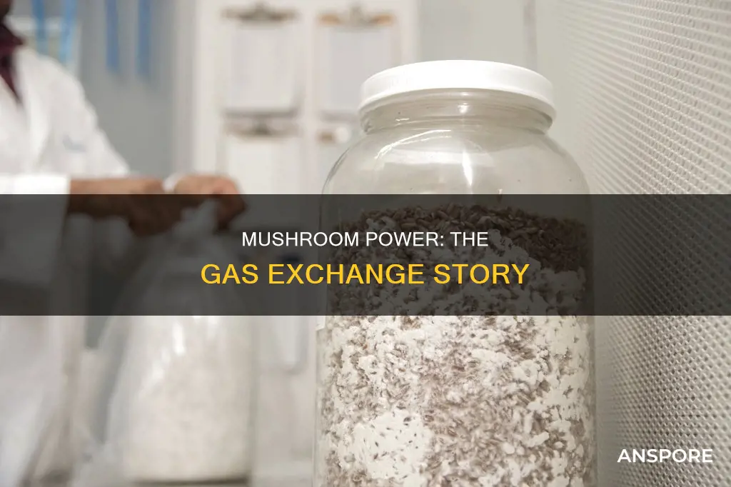 what gas does mushroom exahcnge