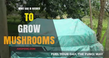 Essential Gas for Mushroom Cultivation: Unlocking Optimal Growth Conditions