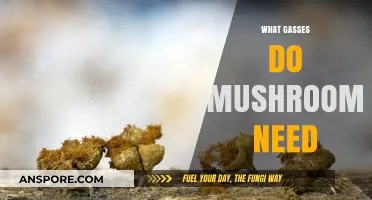 Mushroom Cultivation: Understanding Gas Requirements