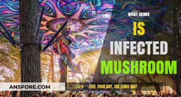 Infected Mushroom: Genre-Bending Electronic Maestros