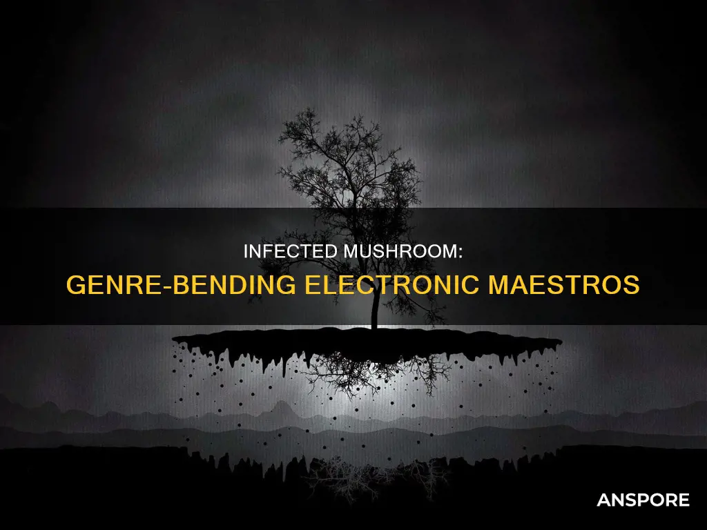 what genre is infected mushroom