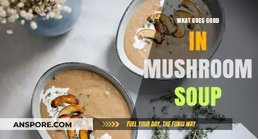 Delicious Mushroom Soup Pairings: Ingredients to Elevate Your Comfort Bowl