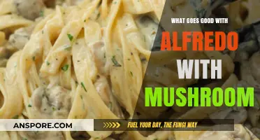 Perfect Pairings: Delicious Sides to Complement Alfredo with Mushrooms