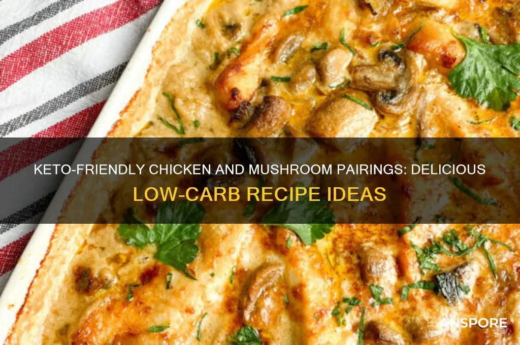 what goes good with chicken and mushrooms keto