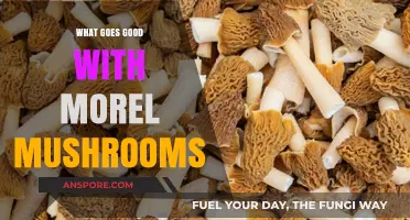 Perfect Pairings: Delicious Foods to Complement Morel Mushrooms