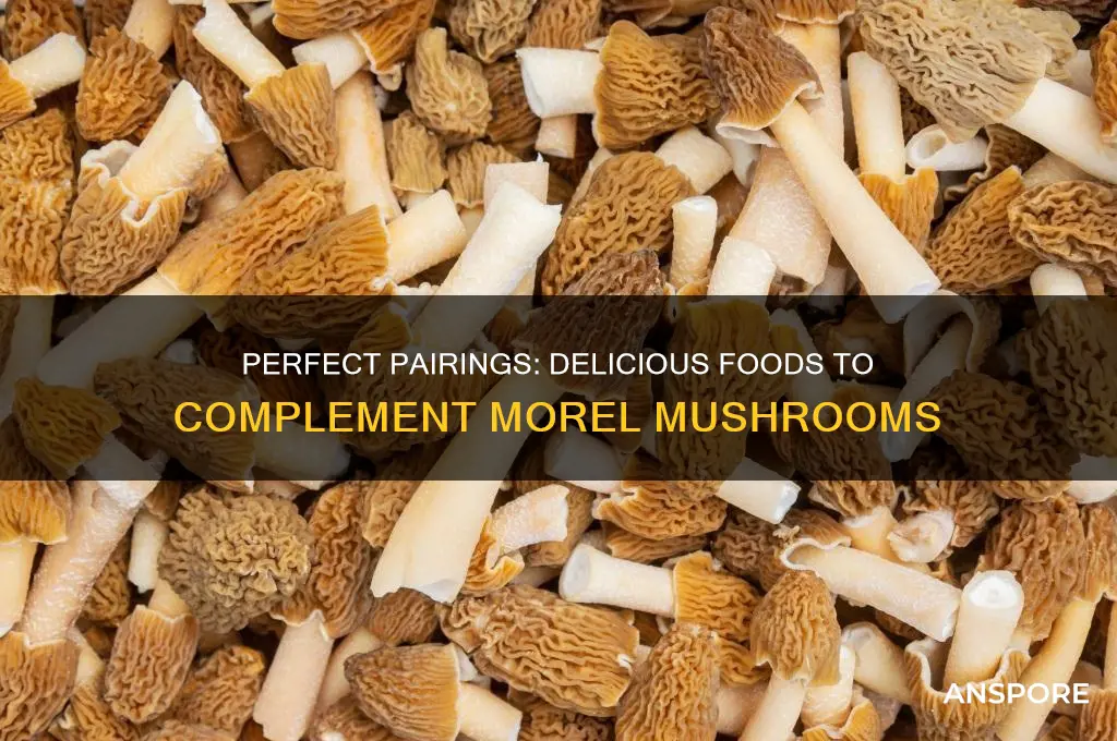 what goes good with morel mushrooms