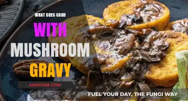 Delicious Pairings: Perfect Dishes to Serve with Mushroom Gravy