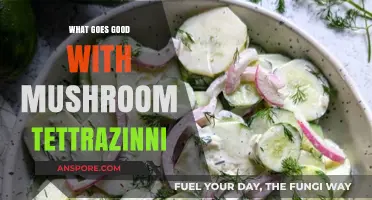 Perfect Pairings: Delicious Sides to Complement Mushroom Tetrazzini