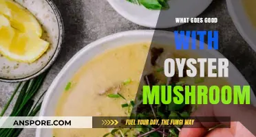 Delicious Pairings: Best Foods to Serve with Oyster Mushrooms