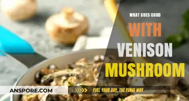 Perfect Pairings: Delicious Sides and Sauces to Elevate Venison Mushrooms