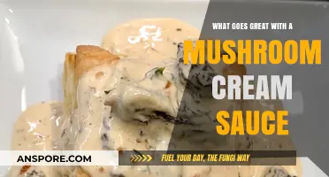 Delicious Pairings: Perfect Dishes to Complement Mushroom Cream Sauce