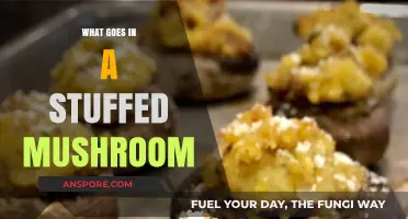 Delicious Stuffed Mushroom Fillings: Creative Recipes and Flavor Combinations