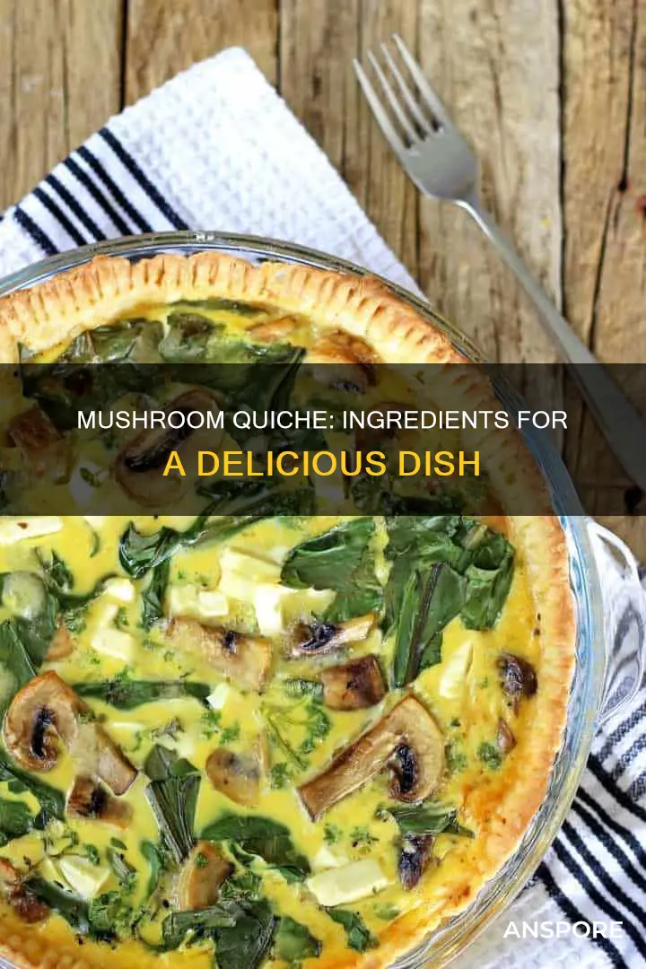 what goes in mushroom quiche