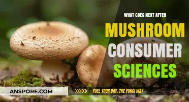 Exploring the Future of Mushroom Consumer Sciences: Trends and Innovations