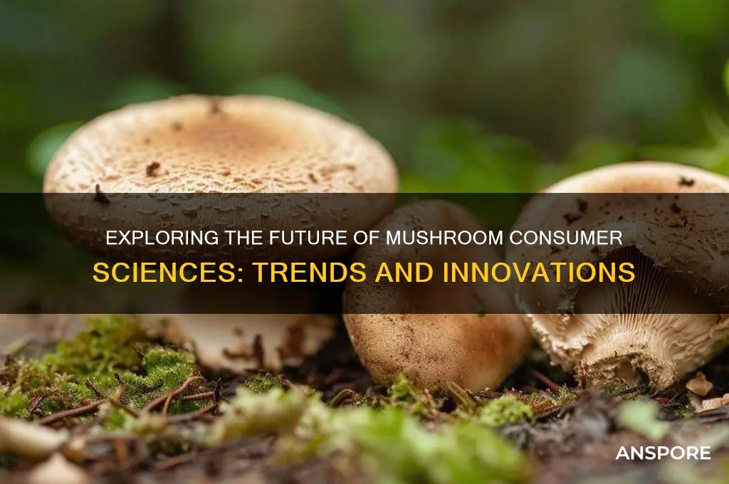 what goes next after mushroom consumer sciences