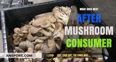 Beyond the Mushroom Boom: Exploring the Future of Fungal Consumption