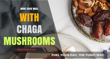 Enhance Your Wellness Routine: Perfect Pairings for Chaga Mushrooms