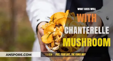 Delicious Pairings: Perfect Ingredients to Complement Chanterelle Mushrooms