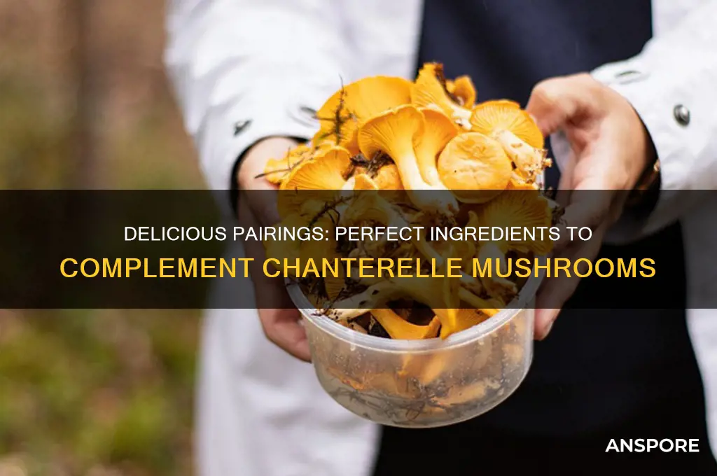what goes well with chanterelle mushrooms