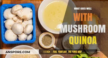 Delicious Mushroom Quinoa Pairings: Elevate Your Meal with These Perfect Matches