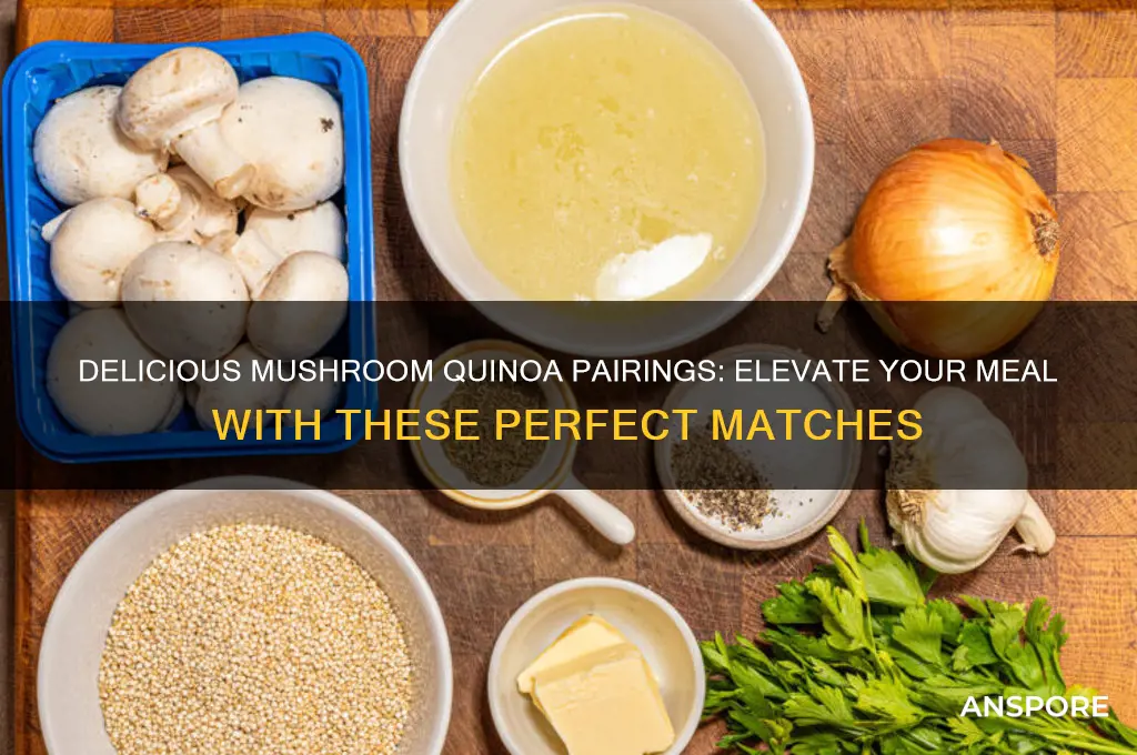 what goes well with mushroom quinoa