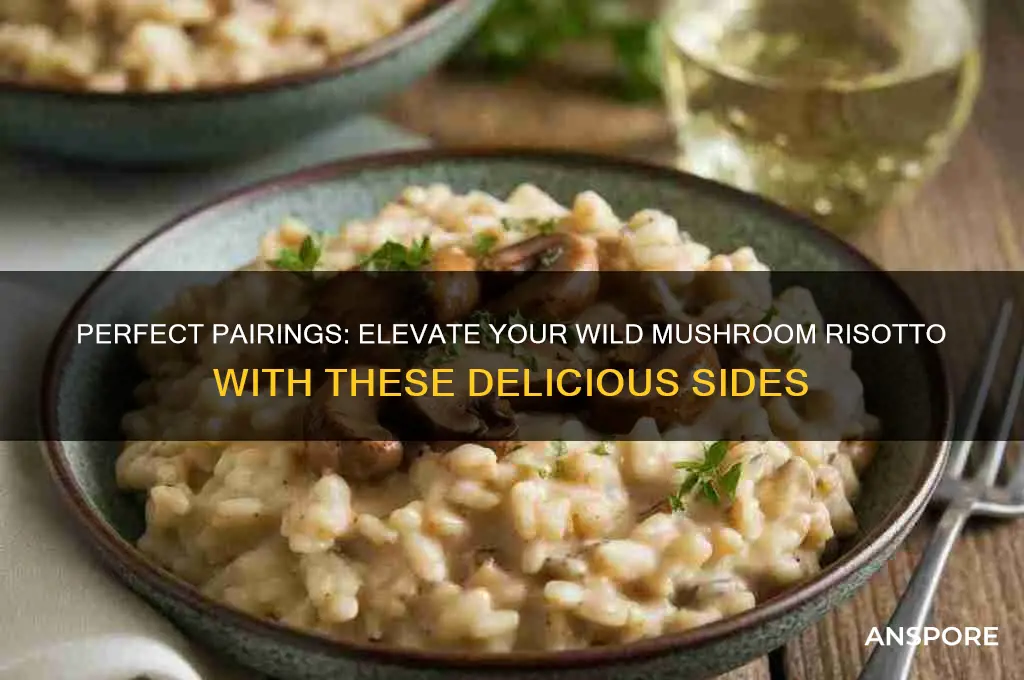 what goes well with wild mushroom risotto