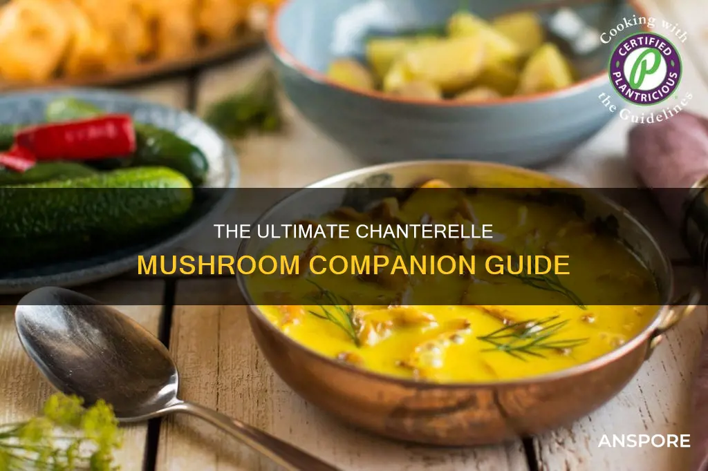 what goes with chanterelle mushrooms
