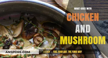 Delicious Pairings: Perfect Side Dishes for Chicken and Mushroom Meals