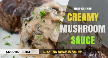 Creamy Mushroom Sauce Pairings: Perfect Dishes to Elevate Your Meal