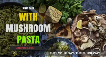 Mushroom Pasta: Perfect Pairing Ideas for a Delicious Dish