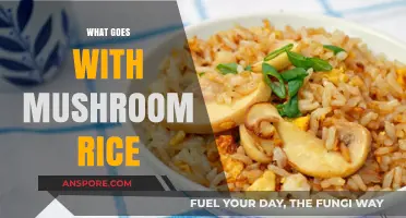 Delicious Pairings: Mushroom Rice's Perfect Partners