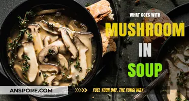 Delicious Mushroom Soup Pairings: Ingredients to Elevate Your Comforting Bowl