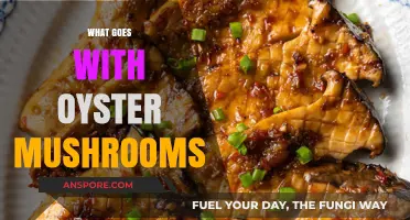 The Ultimate Oyster Mushroom Companion Guide