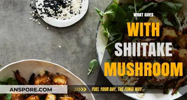 Shiitake Mushroom's Perfect Pairing Partners