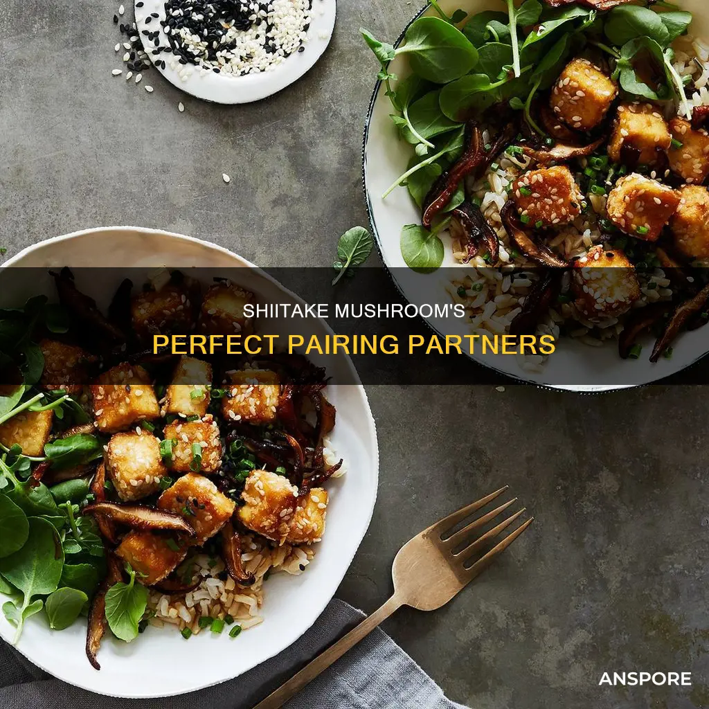 what goes with shiitake mushrooms