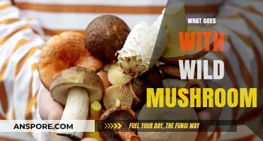 Wild Mushroom Partners: Creative Culinary Combos