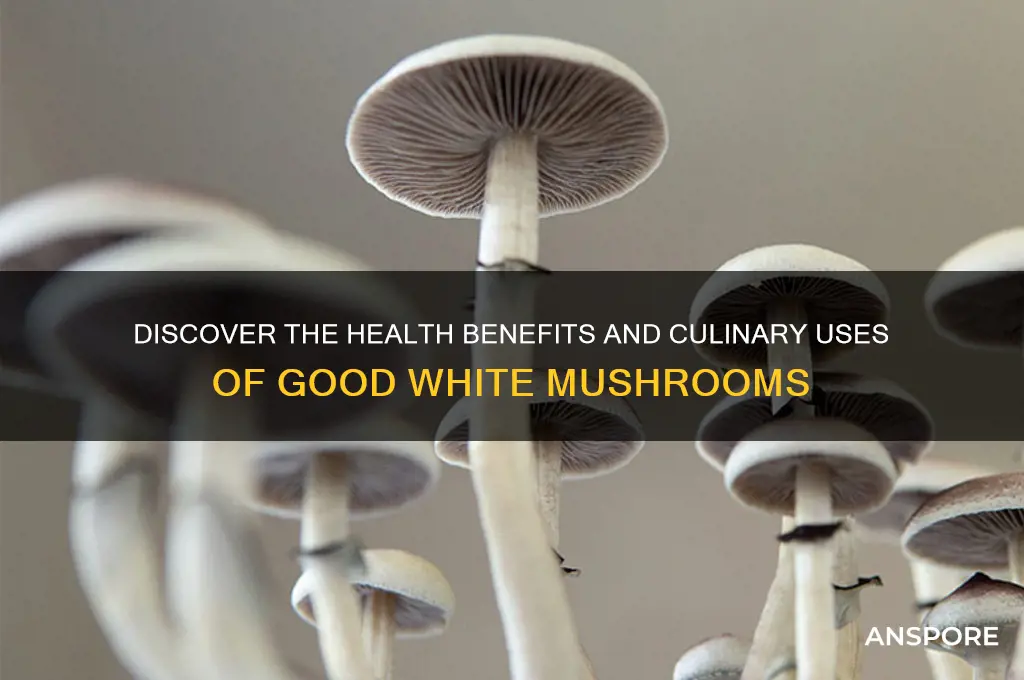 what good white mushrooms