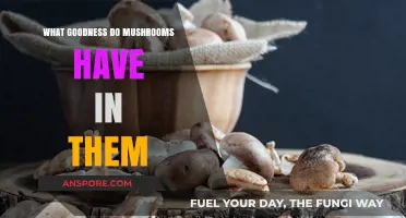 Mushrooms' Hidden Health Benefits: Unlocking Nature's Nutritional Powerhouse