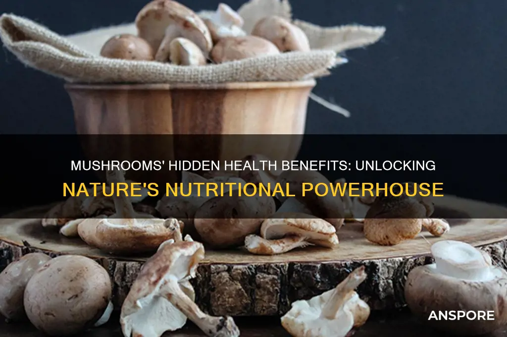 what goodness do mushrooms have in them
