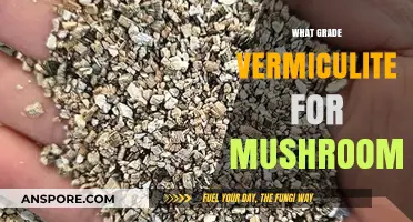 Vermiculite Grades for Mushroom Cultivation
