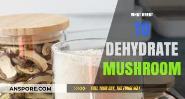 Dehydrating Mushrooms: A Smart Storage Solution